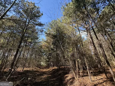 2 Lem Edwards Rd, Colbert, GA 30628 photo 42