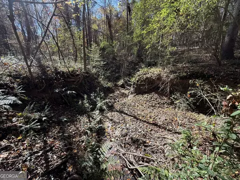 2 Lem Edwards Rd, Colbert, GA 30628 photo 54