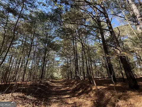 2 Lem Edwards Rd, Colbert, GA 30628 photo 44