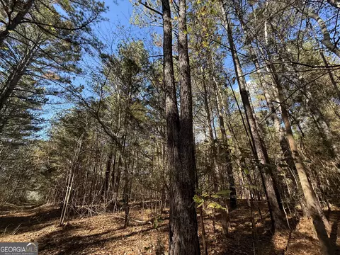 2 Lem Edwards Rd, Colbert, GA 30628 photo 41