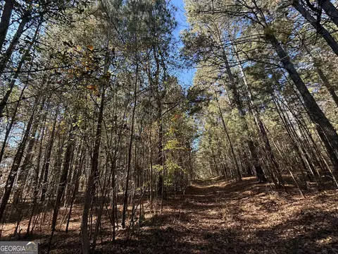 2 Lem Edwards Rd, Colbert, GA 30628 photo 35