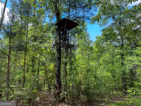 0 Hanson Dr, Lagrange, GA 30240 photo 14
