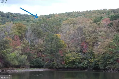 lot19 Owl Mountain Rd, Ellijay, GA 30540