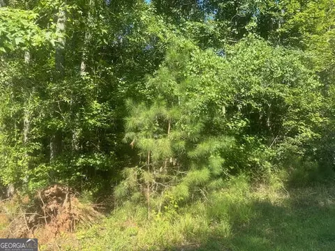 0 Twin Bridges Rd, Eatonton, GA 31024
