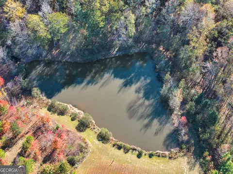 View/Area - 1815 Rocky Creek Rd, Hampton, GA 30228 photo 3 of 7