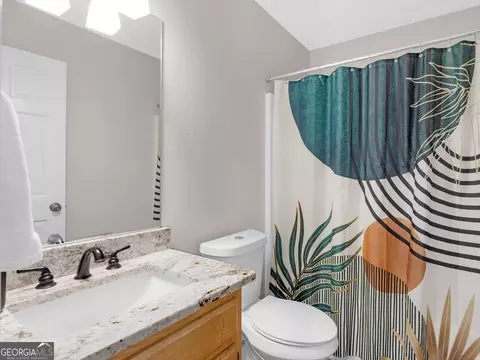 Bath - 1815 Rocky Creek Rd, Hampton, GA 30228 photo 5 of 6