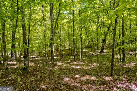 98 Acres - George Smith, Talbotton, GA 31827