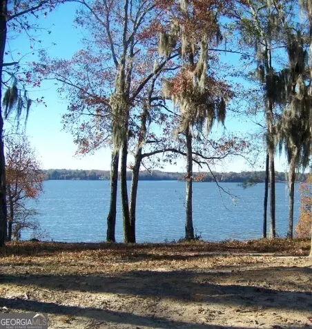 0 Point Drive Lot 2 3 4 Dr #LOT 2, 3, 4, Georgetown, GA 39854