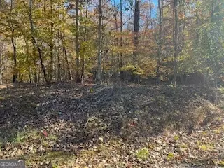 0 Old Burnt House, Ball Ground, GA 30107