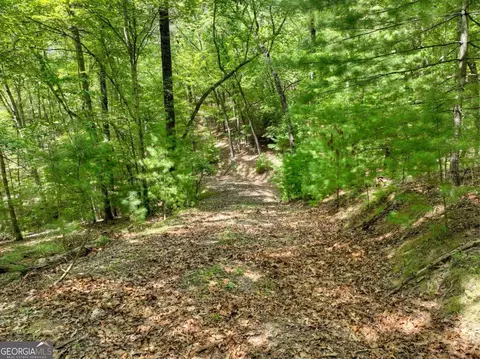 lot68 Riverwalk On The Toc #68, Mineral Bluff, GA 30559