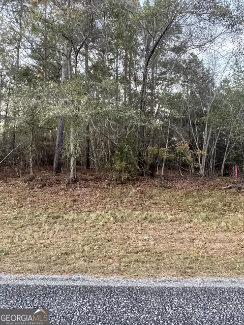 0 Canoochee Bypass Rd, Twin City, GA 30471