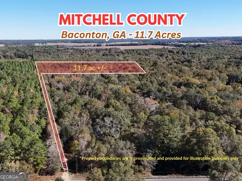 0 Brest Station Rd, Baconton, GA 31716