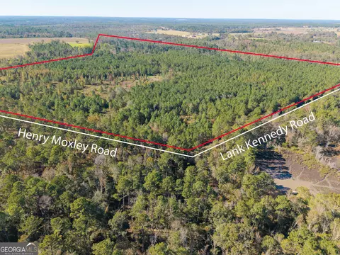 1 Henry Moxley Rd, Cobbtown, GA 30420