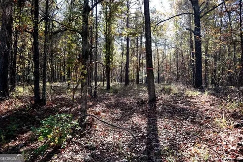 511 Jamesway Dr, Sparta, GA 31087