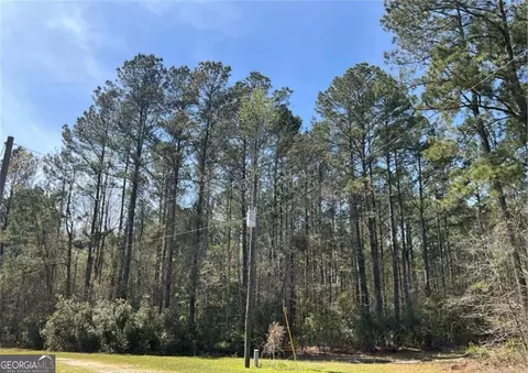 1258 Clyo Kildare Rd, Clyo, GA 31303