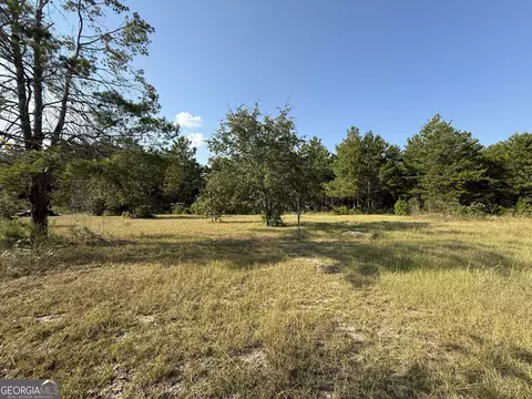 461 Jackson Rd, Roberta, GA 31078 photo 12
