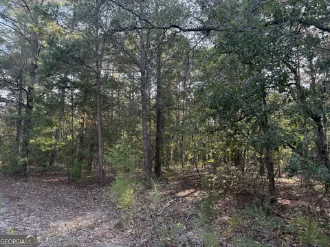 461 Jackson Rd, Roberta, GA 31078 photo 35