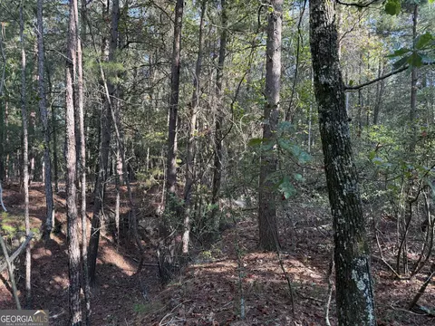 461 Jackson Rd, Roberta, GA 31078 photo 32