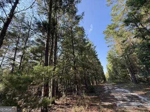 461 Jackson Rd, Roberta, GA 31078 photo 20