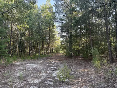 461 Jackson Rd, Roberta, GA 31078 photo 33