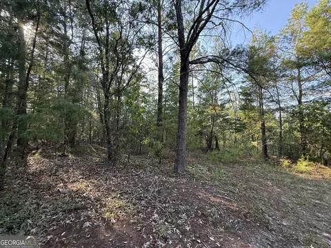 461 Jackson Rd, Roberta, GA 31078 photo 31