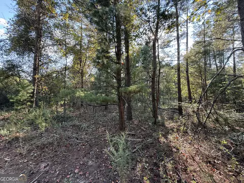461 Jackson Rd, Roberta, GA 31078 photo 21