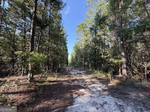 461 Jackson Rd, Roberta, GA 31078 photo 17
