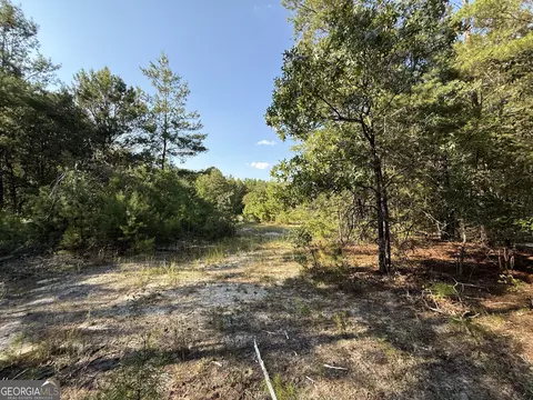 461 Jackson Rd, Roberta, GA 31078 photo 24