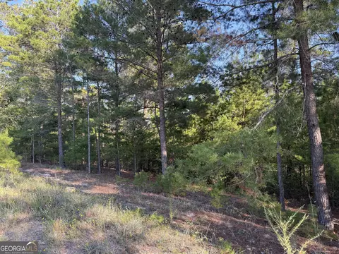 461 Jackson Rd, Roberta, GA 31078 photo 42