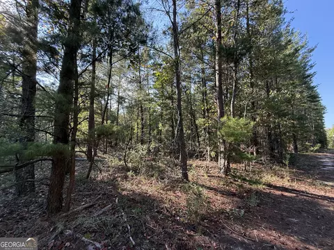 461 Jackson Rd, Roberta, GA 31078 photo 18