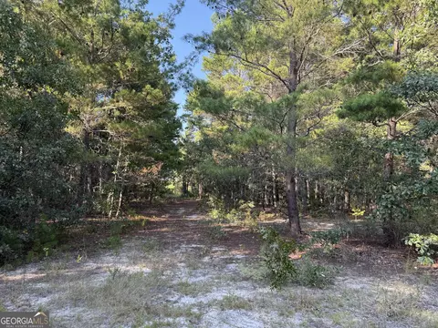461 Jackson Rd, Roberta, GA 31078 photo 27