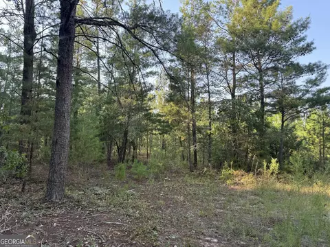 461 Jackson Rd, Roberta, GA 31078 photo 34