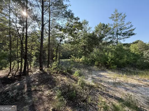 461 Jackson Rd, Roberta, GA 31078 photo 25