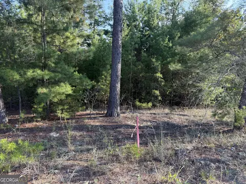 461 Jackson Rd, Roberta, GA 31078 photo 41