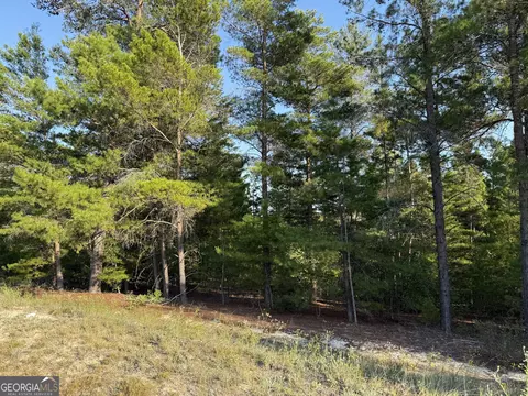461 Jackson Rd, Roberta, GA 31078 photo 40