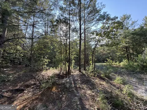 461 Jackson Rd, Roberta, GA 31078 photo 23