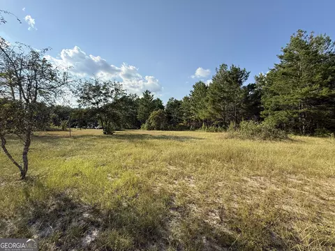 461 Jackson Rd, Roberta, GA 31078 photo 14