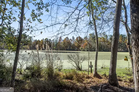 View/Area - 1238 Brooklet South Dr, Brooklet, GA 30415 photo 1 of 3