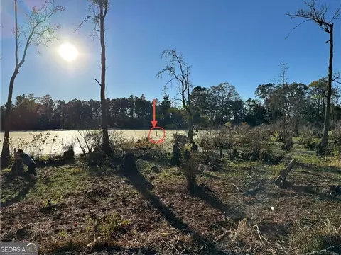 View/Area - 1238 Brooklet South Dr, Brooklet, GA 30415 photo 3 of 3