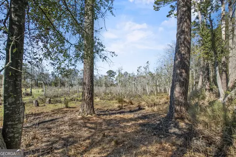 Other - 1238 Brooklet South Dr, Brooklet, GA 30415 photo 2 of 8
