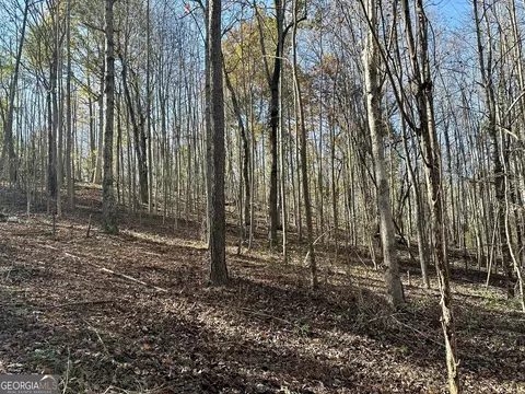 0 Sheep Pasture Rd, Commerce, GA 30529 photo 31