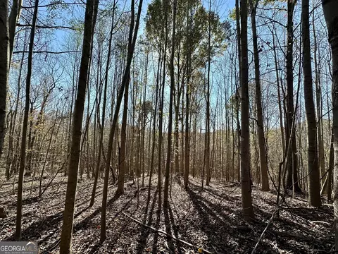 0 Sheep Pasture Rd, Commerce, GA 30529 photo 29