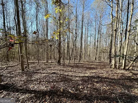 0 Sheep Pasture Rd, Commerce, GA 30529 photo 30