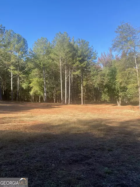 1741 Barton Bridge Rd, Monroe, GA 30655 photo 18