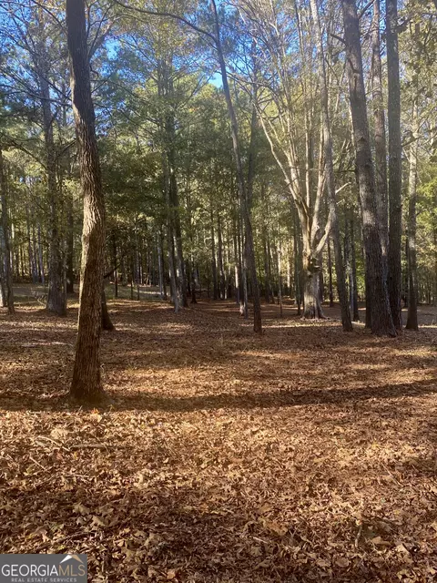 1741 Barton Bridge Rd, Monroe, GA 30655 photo 13