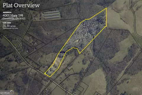 Other - 4001 Highway 198, Carnesville, GA 30521 photo 1 of 10