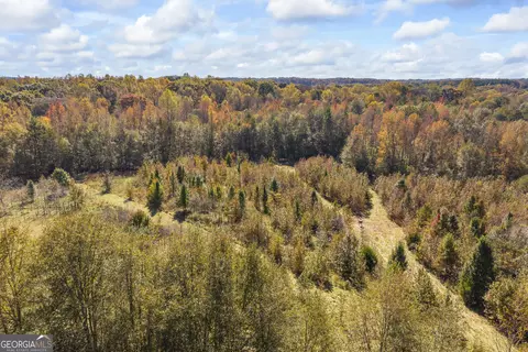 Other - 4001 Highway 198, Carnesville, GA 30521 photo 7 of 10