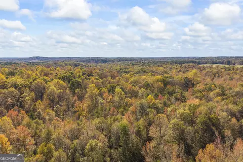 Other - 4001 Highway 198, Carnesville, GA 30521 photo 6 of 10