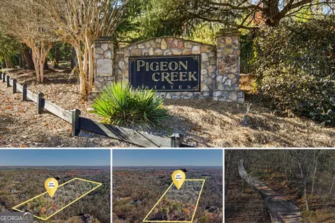 29 Pigeon Creek Dr, Dawsonville, GA 30534