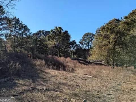 12741 Alcovy Rd, Covington, GA 30014 photo 18